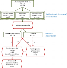 flow chart showing how 270 invasive w st 11 meningococcal