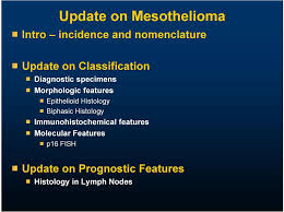 We did not find results for: Update On Mesothelioma Pdf Free Download