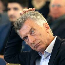 Murió Roger, el canguro "fisicoculturista" que era furor en las redes  sociales