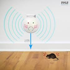 Insulate your home with pest control insulation to keep energy bills down and insects out. Serenelife Plug In Rat And Mouse Repeller Electronic Rodent Pest Control Pslumr5 The Home Depot