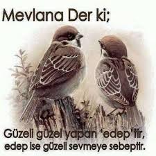 Mevlana Sozleri Ask Sozleri Guzel Sozler Ihanet Sozleri Guzel Soz Ozlu Sozler