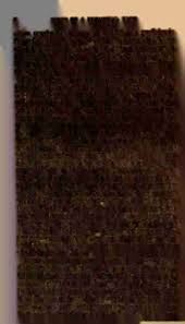 Image result for Dichilus reflexus