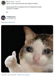 I Ll Do It Thumbs Up Crying Cat In 2020 Funny Memes Funny Tweets Cats