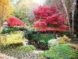 A View From My Garden Georgia Gardening My Fall Garden Georgia Gardening Autumn Garden Gardening Magazines