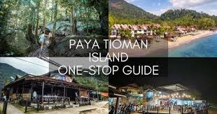 The perfect idyllic getaway to enjoy nature's gift. Paya Tioman Island Kampung Paya One Stop Guide On Everything About Paya Village
