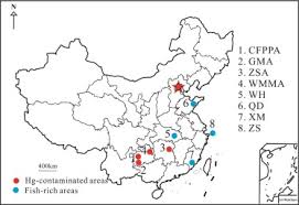 720, 721, 740 parts list tools: Fish Rice And Human Hair Mercury Concentrations And Health Risks In Typical Hg Contaminated Areas And Fish Rich Areas China Sciencedirect