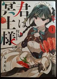 君は冥土様。 感想]天才暗殺者は普通の女の子になれるのか[漫画] : ゲームと漫画を摂取して生きています。