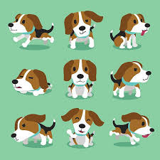 Cartoon Character Beagle Dog Poses Vector Art Illustration Cartoon Dog Beagle Dog Dog Poses