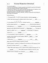 Cellular Respiration Worksheet Answer Key Lovely High School Biology Worksheets With A Cellular Respiration Persuasive Writing Prompts Photosynthesis Worksheet
