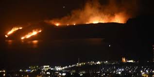 Rüzgarın etkisiyle büyüyen yangını fark eden sitedeki vatandaşlar yangını bahçe hortumlarıyla söndürmeye çalıştı. Bodrum Da Korkutan Orman Yangini