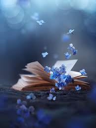 Flowers Die Magie Der Bucher In 2020 Whimsical Photography Flowers Photography Photography Wallpaper