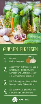 Gurken Haltbar Machen Gurken Einlegen Einmachen Und Lagern Plantura Gurken Einmachen Gurke Gemuse Einmachen