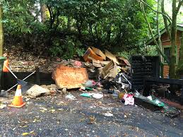 Hey good evening everyone I am a high school student doing junk removal as  a side hustle if you need any junk removal service and hauling of any type  let me know,