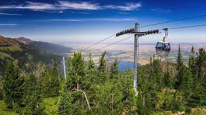 We did not find results for: Wallowa Lake Tramway Photograph By Chris Sveen