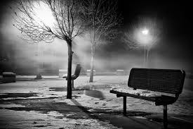 Black And White Bench Winter Park Bench Black White Explored Park Bench Black And White Bench
