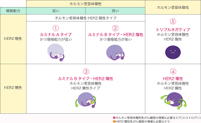 「乳がん」の画像検索結果