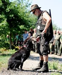 Image result for český fousek stavba těla