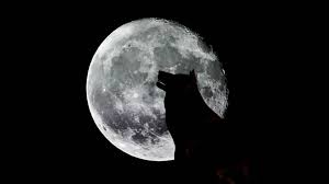 «tonight's full moon in sagittarius is also the first total lunar eclipse of the year. The First Full Moon Of 2021 Will Rise Tonight Wzzm13 Com