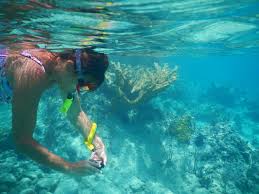 Crociere di 7 e 14 giorni su una delle nostre imbarcazioni moderne e confortevoli. Dicas De Lugares Para Praticar Snorkeling Na Sicilia