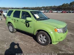 Image result for Lime Squeeze 2012 Escape