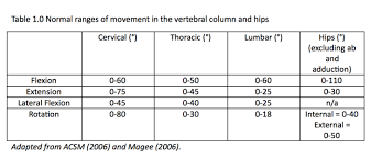 5 Exercises For Increasing Thoracic Spine Mobility In Your