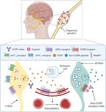 Image result for Gepant