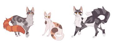 Warrior Cats Rosetail Sweetpaw Thistleclaw Felineanatomy Warrior Cat Drawings Warrior Cats Warrior Cats Art