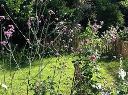 Ein pflegeleichtes grundstück ist besonders gefragt, wenn durch beruf oder familie die zeit zum gärtnern nur aufs wochenende beschränkt ist. 14 Lieblinge Die Einen Cottage Garten Zaubern Ohne Arbeit Cottage Garten Pflegeleichte Pflanzen Garten Ideen Gestaltung Vorgarten