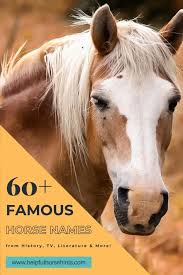 10 famous names in the espionage game. 60 Famous Horse Names From History Tv Literature More Helpful Horse Hints