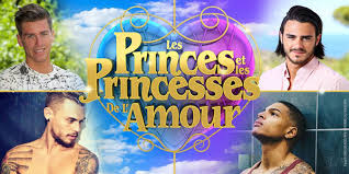 Mélanie, aurélie, hillary, virgil, benjamin et marvin vont rencontrer de potentielles âmes soeurs. Les Princes Et Princesses De L Amour W9 Saison 5 Quels Candidats Actualite Tv Nouveautes Tele Com