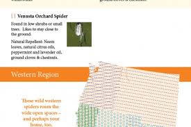 Usa Spider Identification Chart Visual Ly