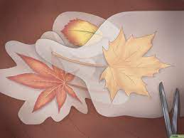 Tujuan pengeringan agar mengurangi mikroba yang dapat merusak komponen kimia dalam daun agar dapat disimpan. 6 Cara Untuk Mengawetkan Dedaunan Musim Gugur Wikihow