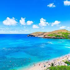 Image result for Surf Turquoise 1977 Kelvinator