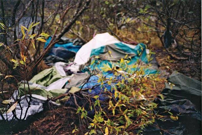 Timothy Treadwell Bear Attack | Reader's Digest