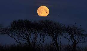 Friday 13th brings extremely rare 'micro' full moon. Supermoons 2020 Uk Dates Names And How To Spot The Next One