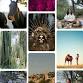 Wild Wisdom Retreat in San Miguel de Allende event image