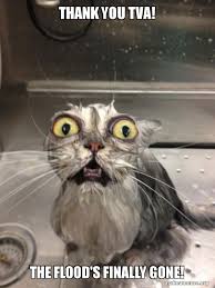 Your daily dose of fun! Thank You Tva The Flood S Finally Gone Cat Bath Make A Meme