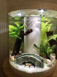 Click 'show more' for full video description and links in today's video, i show you exactly how to build levitating black lava rocks for your aquarium. Blue Ribbon Blue Stone Bridge Aquarium Ornament Petco