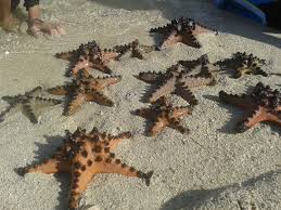 Ancient temple of time travel found in india. Tabachingchings Ph Pannacalan Island