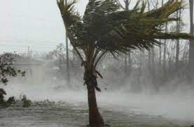 Uraganul dorian urmează să lovească statul american florida la finalul acestei săptămâni, iar efectele acestuia se vor simți și în primele zile ale săptămânii viitoare, potrivit mediafax care citează dpa. Uraganul Dorian Se Apropie Periculos De Florida