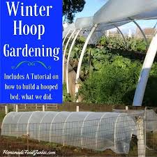 Maybe you would like to learn more about one of these? Winter Hoop Gardening With Raised Beds Homemade Food Junkie