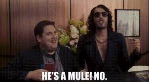 4.5 out of 5 stars. Yarn He S A Mule No Get Him To The Greek 2010 Video Gifs By Quotes E2eeeb0e ç´—
