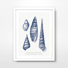 Details About Seashell Chart Seaside Nautical Art Print Poster Decor Wall Picture A4 A3 A2