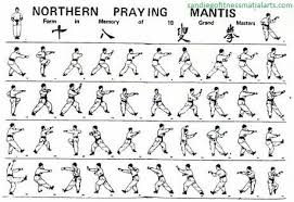 .henry sue teaching southern praying mantis kung fu to the junior level students at the brisbane headquarters of the chinese kung fu academy. 17 Praying Mantis Kung Fu Ideas Kung Fu Praying Mantis Martial Arts