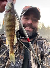 Any tips for catching yellow perch?