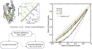 نتیجه جستجوی لغت [discerned] در گوگل