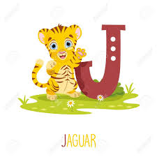 Vector Illustration Of Alphabet Letter J And Jaguar Illustration Ad Illustration Vector Alphabet Jaguar Lett Lettering Alphabet Letter J Lettering