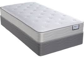 Therapedic Forte Low Profile Twin Mattress Set Bedroom Furniture Stores Twin Mattress Set Mattress