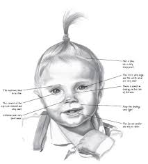 This is another important stage to make your human face drawing look very realistic.through dividing lines, it becomes very easy to map out the face's proportions. Secrets To Drawing Realistic Faces Arts Photography Books Jatenghalaltrainingcenter Com
