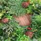 Festive Wreath Making Workshop event image